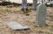 Forbes Gravestones at the Terry Chapel Ruins