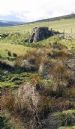 Ruined lime kiln near Upperton, Glenbuchat